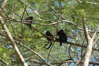  2007-12-10 10.43.46.JPG 